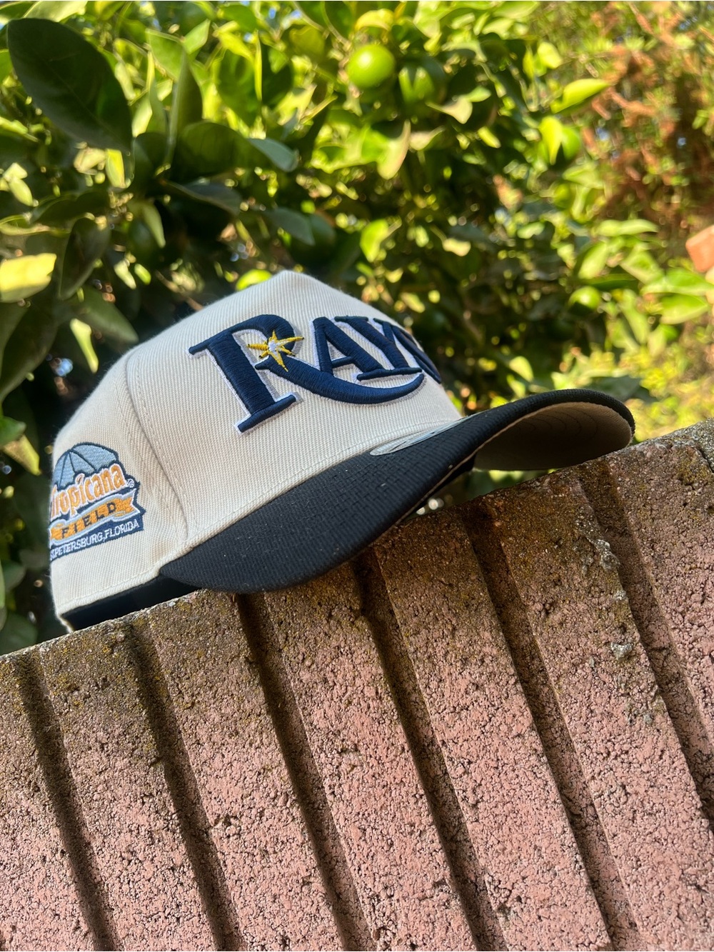 TAMPA BAY DEVIL RAYS CURVED BILL SNAPBACK HAT